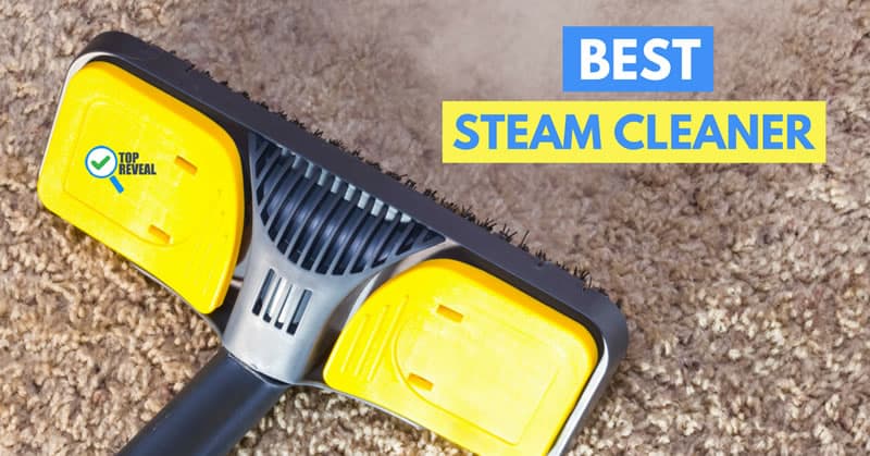 What are some highly rated steam cleaners?
