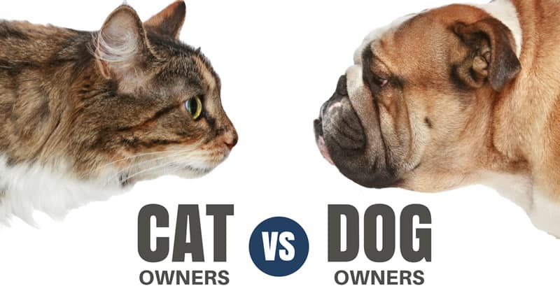 The Little Things That Separate And Unite Cat Owners Vs Dog Owners The Little Things That Separate And Unite Cat Owners Vs Dog Owners