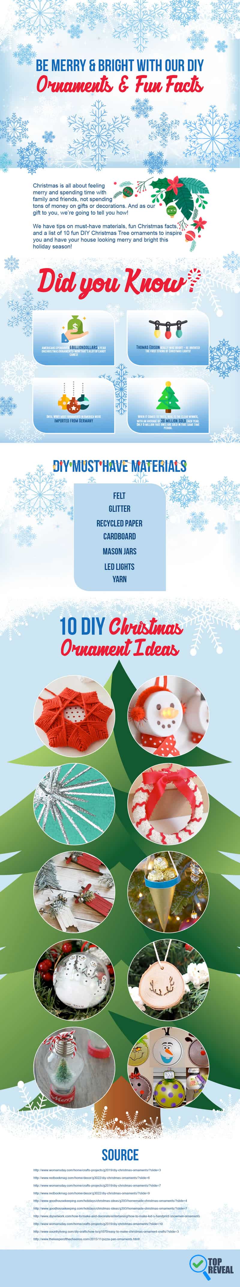 DIY Christmas Ornament Ideas Infographic