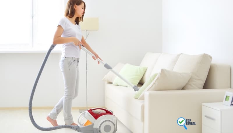 Best Vacuum for Pet Hair On Couch