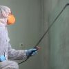 When to Hire a Mold Removal Service in Nashville