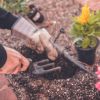 Planning to Start a Garden? Here Are Some Tips