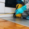 What Are the Most Common Household Pests?