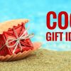 Amazingly Cool Gift Ideas for the Holidays or Any Day