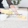How to Disinfect Carpet without Steam Cleaner Tricks and Tips You Should Know