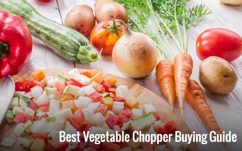 Best Vegetable Chopper Buying Guide