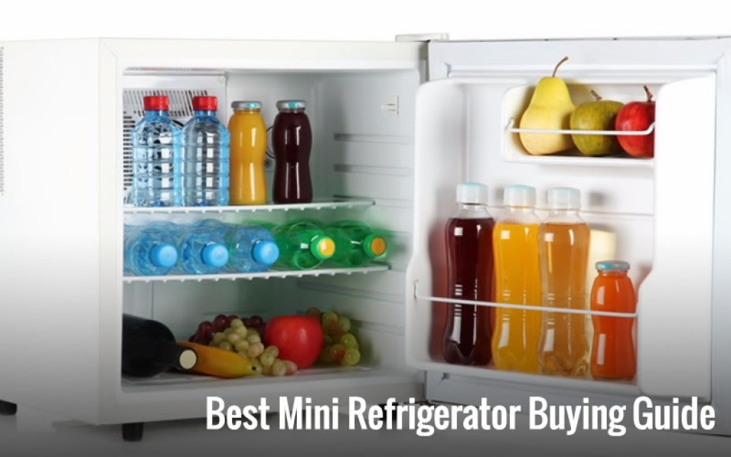 Best Mini Compact Refrigerator (2020) Comparison Reviews Top Reveal