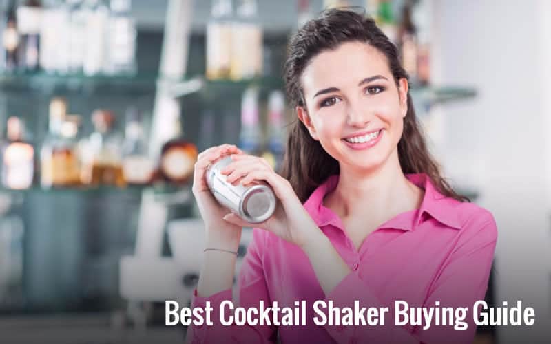 best cocktail shaker buying guide