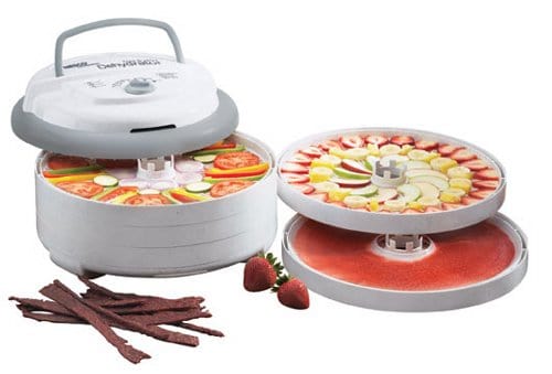 Top Food Dehydrator for Jerky and Fruit