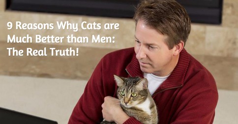 why cats are much better than men