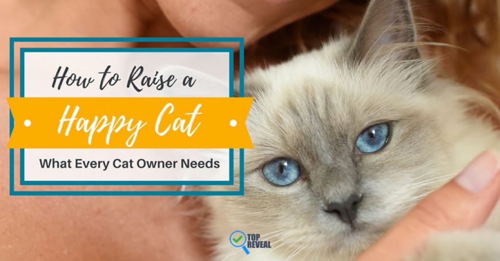 How to Raise a Happy Cat What Every Cat Owner Needs Top Reveal