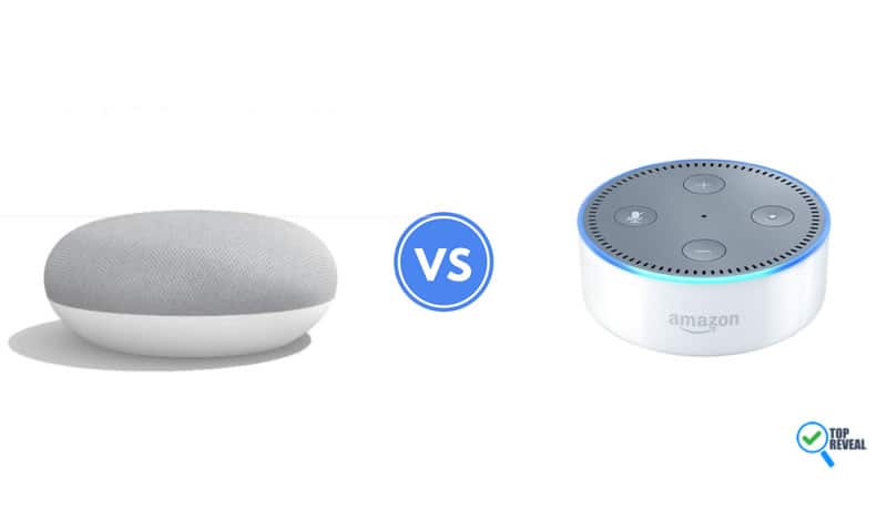 Google Home Mini vs Echo Dot