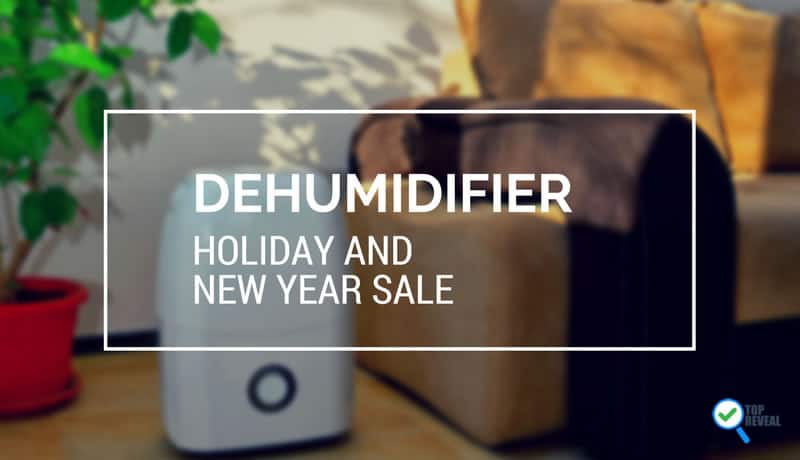 Dehumidifier Holiday and New Year Sale