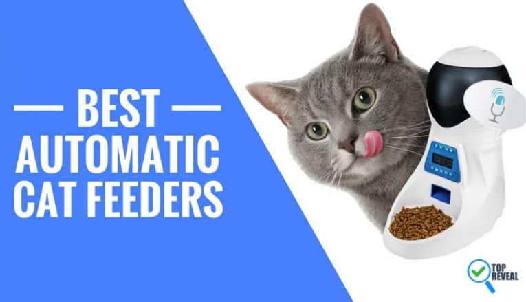 The 5 Best Automatic Cat Feeders Comparison Reviews (2022): They’re the