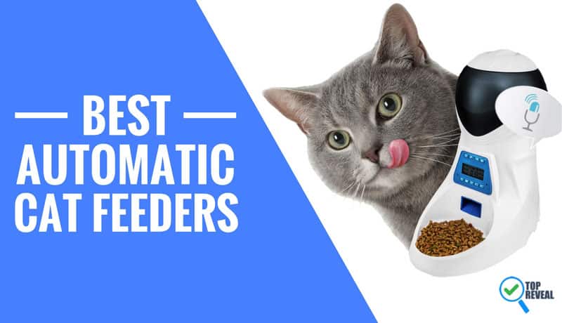 best automatic cat feeder with collar sensor