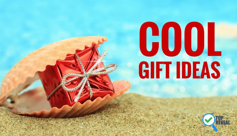 Cool Gift Ideas Blog