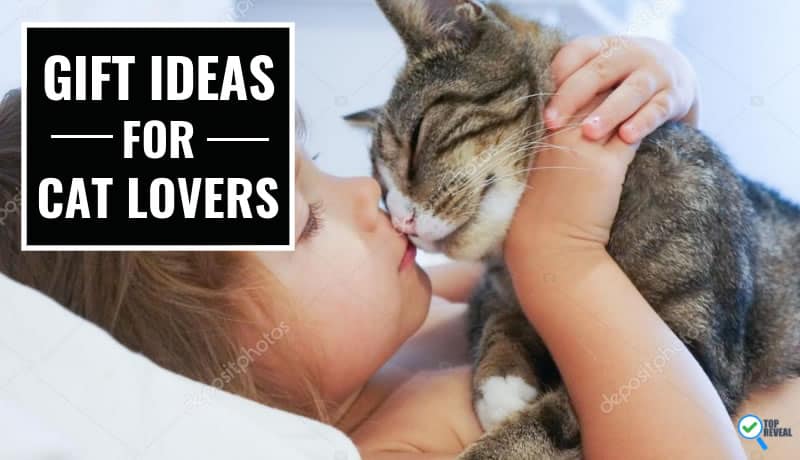 Gift Ideas for Cat Lovers