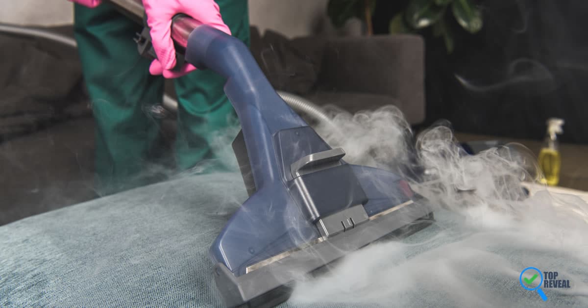 How To Use a Steam Cleaner The Right Way Top Reveal