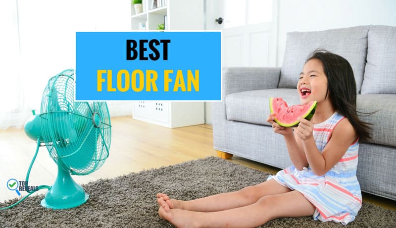 Best Floor Fan