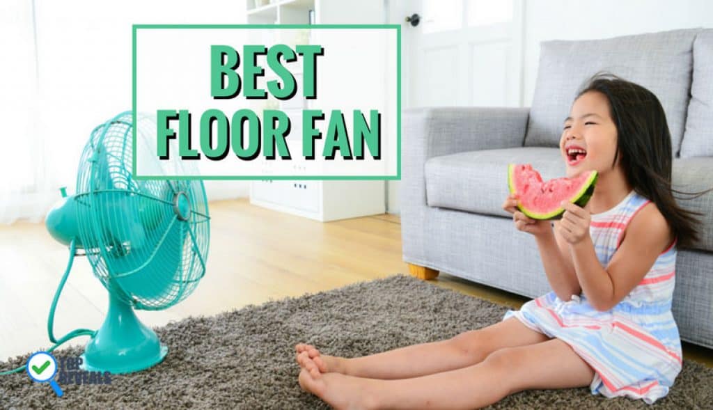 Best Floor Fan Comparison Review (2020) Cool Products to Keep You Cool