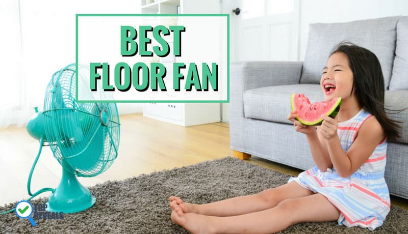 Best Floor Fan Reviews