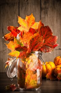 leaves in mason jars