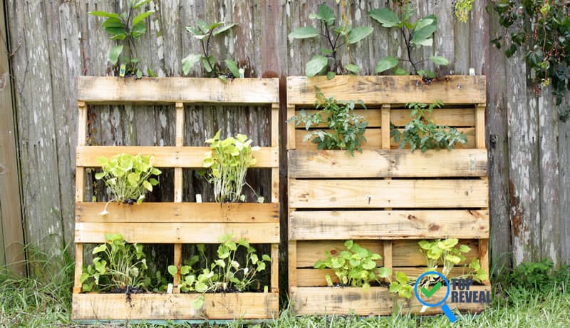 DIY Pallet Planter Ideas