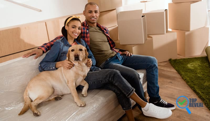 Tips for Home Moving with Pets