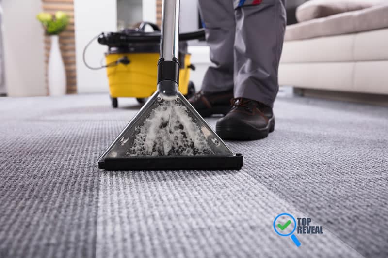 Carpet Cleaner Professional