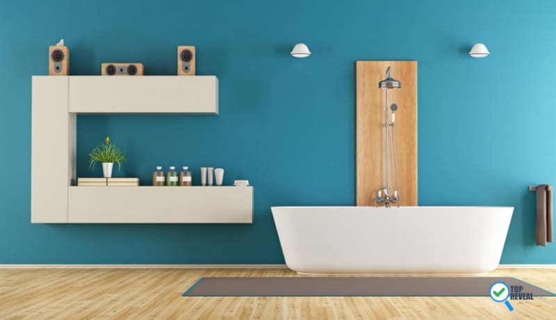 Blue Bathroom Color Ideas