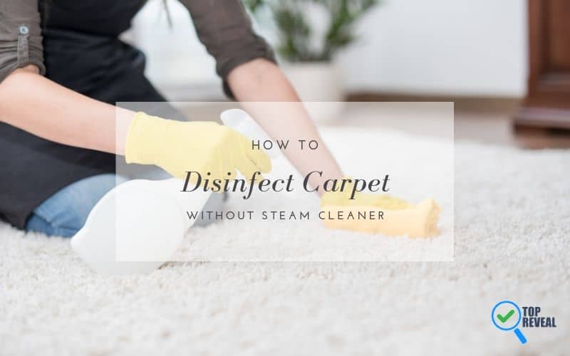 How to Disinfect Carpet without Steam Cleaner