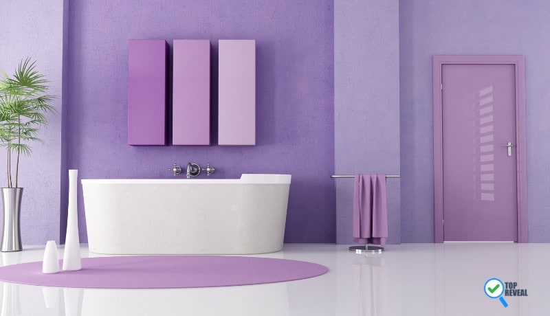 Purple Bathroom Color Ideas