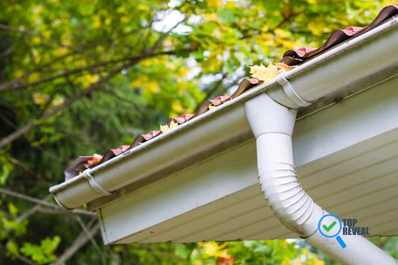 5 Problems Related To Gutters