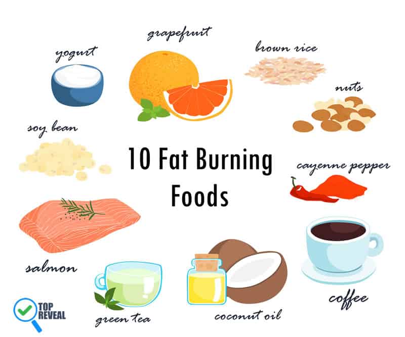 Fat-Burning Diet Recipes for Women