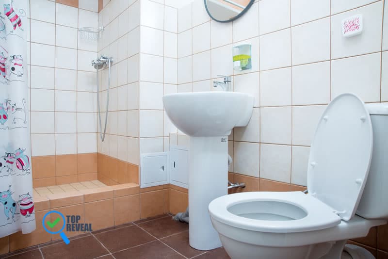 Signs Your Toilet Needs to Be Fixed