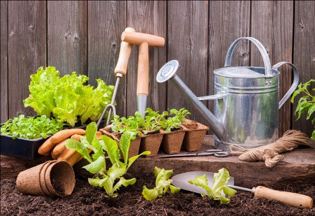 Use the right gardening tools