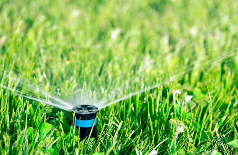 Getting Irrigation Supplies For Your Garden