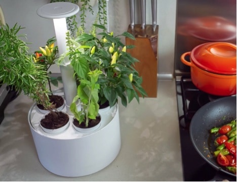 Smart Garden Helps the environment