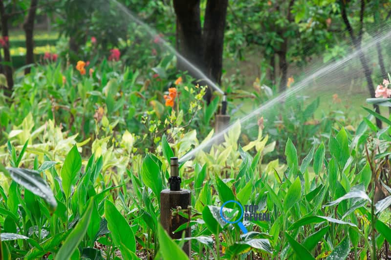 Things To Learn About Sprinkler Winterizing