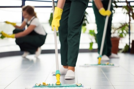 Services You Can Expect from Professional Cleaners