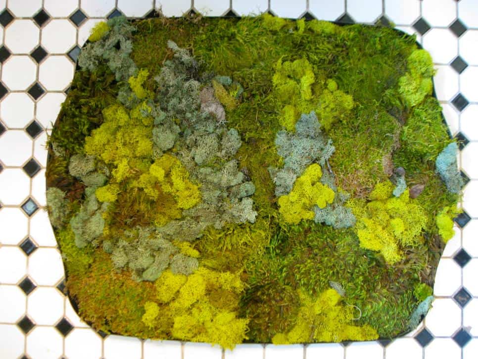 Moss Bath Mat