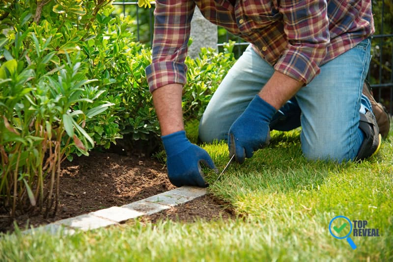 How to Choose the Sod And Lawn Installation Services in Your Area