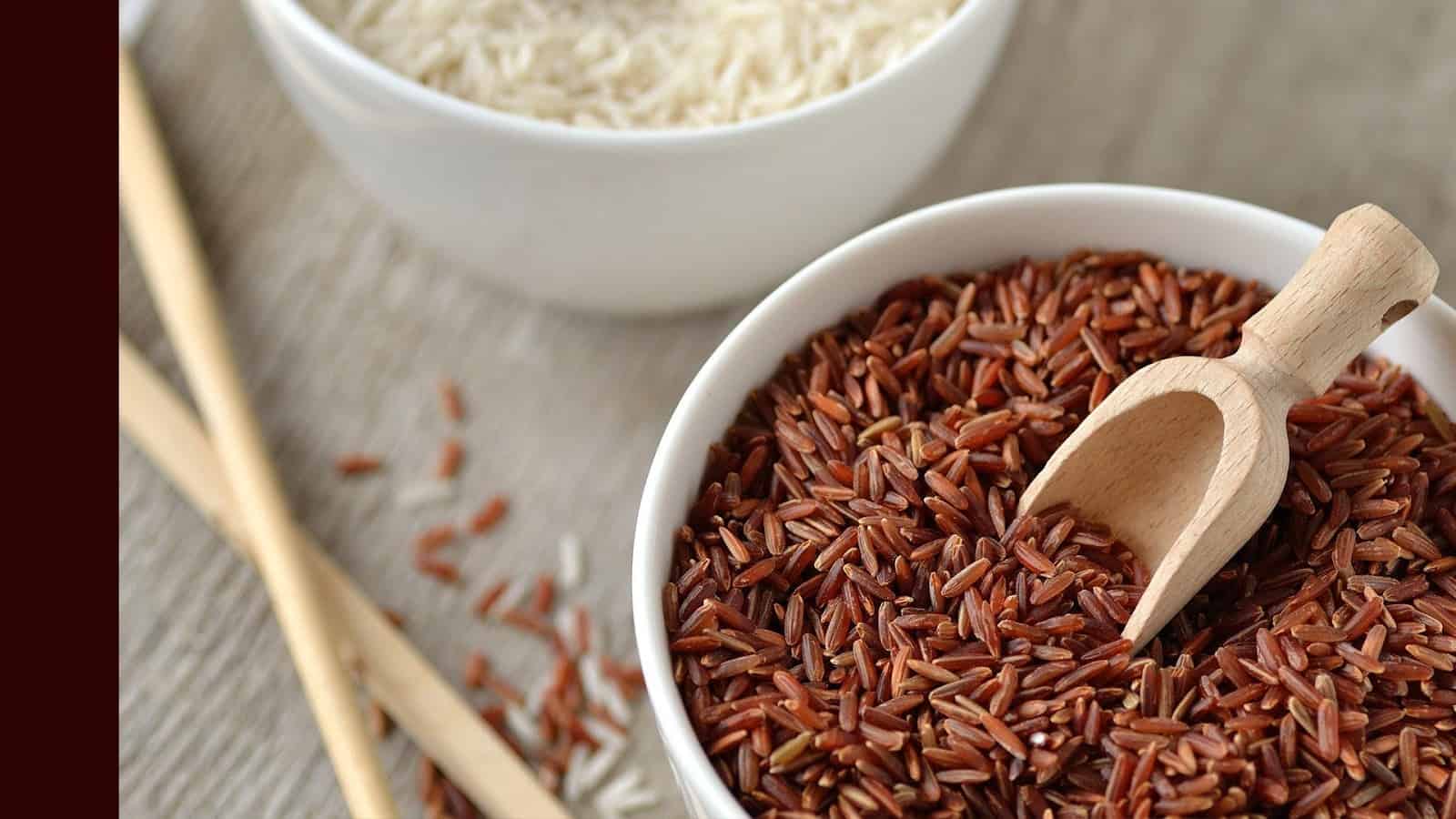 How to add brown rice to its diet?