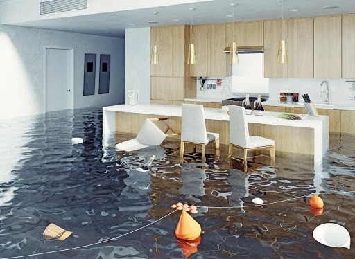 Signs that your Property Has Leaks