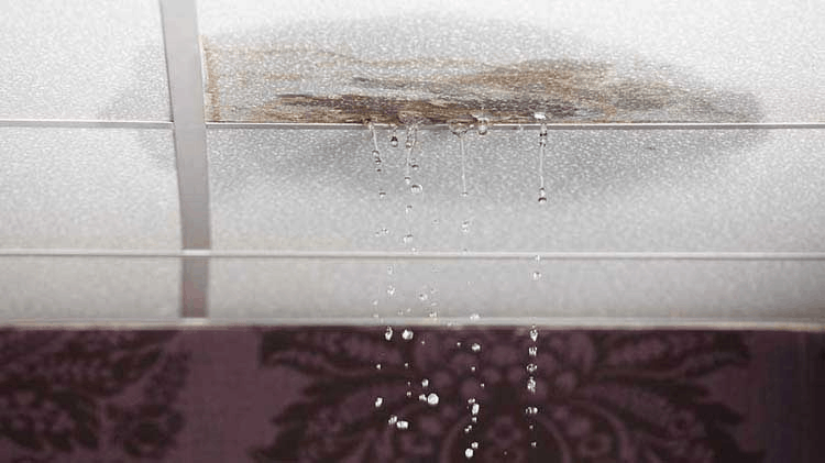 Things To Know About Water Damage