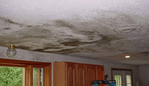 What is Water Damage