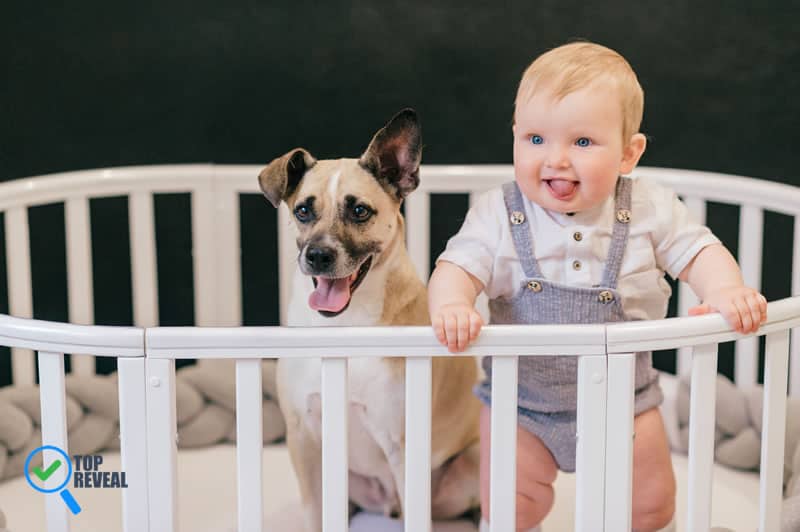 DIY Wooden Baby Crib to Save You Money