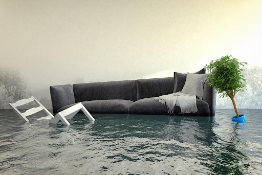 What to Do After Your Home Suffers Water Damage