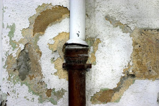  Inspect the Home for Mold 