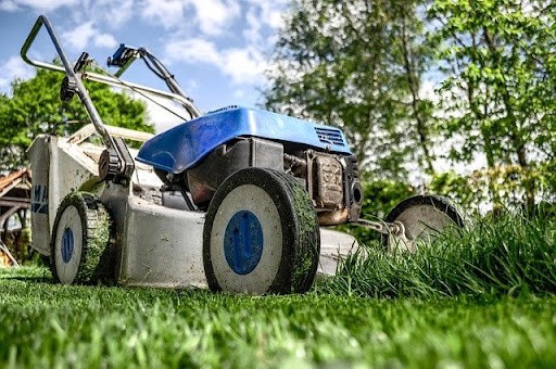 6 Tips on How to Keep Your Yard Clean All the Time